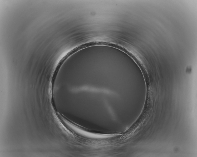 X0000093740791200710231210