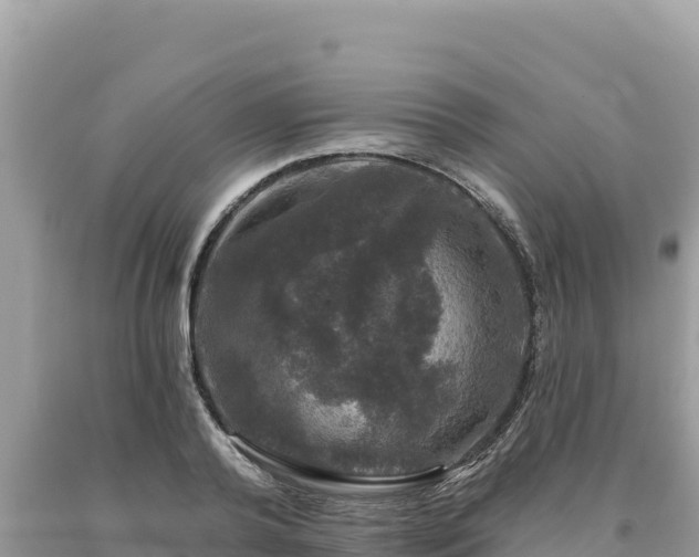 X0000093740792200710231210