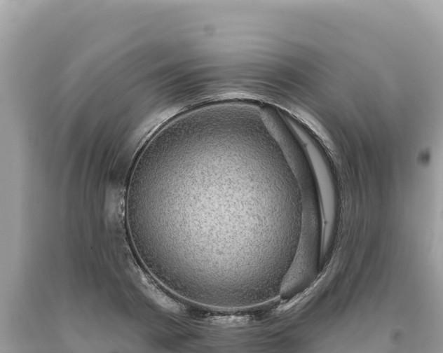 X0000093740793200710231210