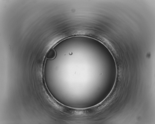X0000093740794200710231210