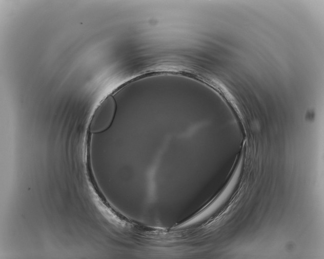 X0000093740795200710231210