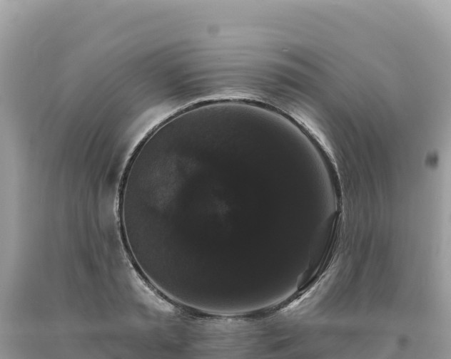 X0000093740797200710231210