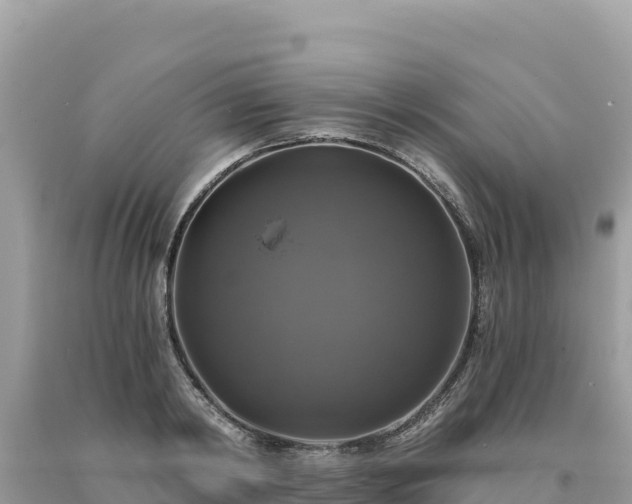 X0000093740798200710231210