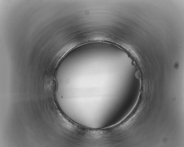 X0000093740801200710231210