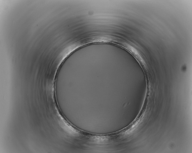 X0000093740802200710231210