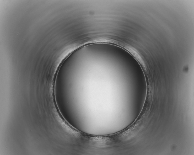 X0000093740805200710231210