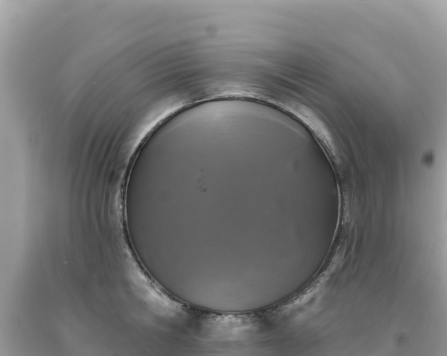 X0000093740806200710231210