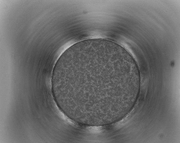 X0000093740810200710231210