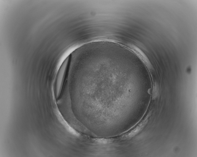 X0000093740812200710231210