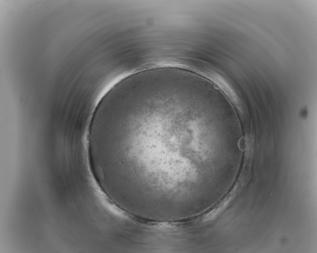 X0000093740814200710231210