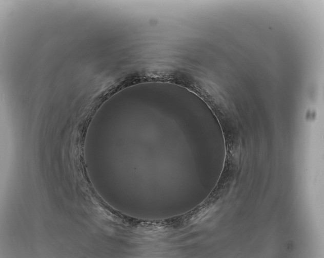 X0000093740817200710231209