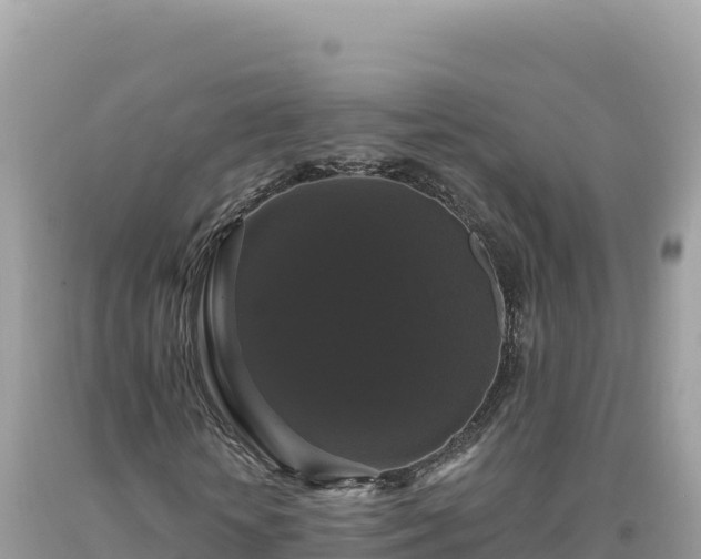 X0000093740818200710231209