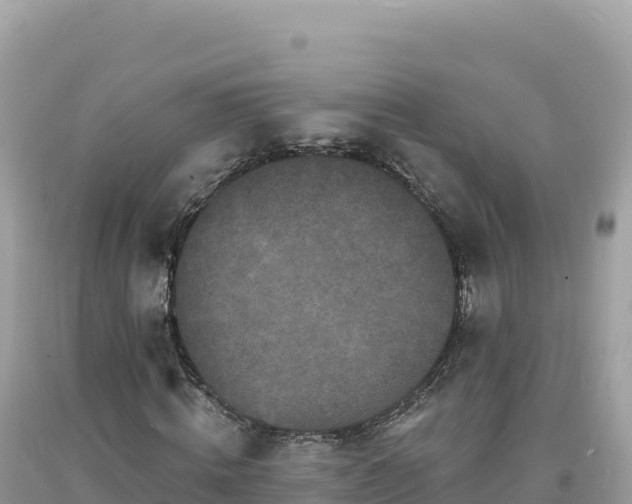 X0000093740820200710231209