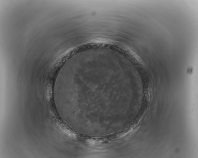 X0000093740821200710231209