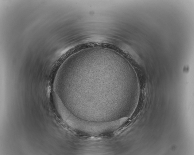 X0000093740822200710231209