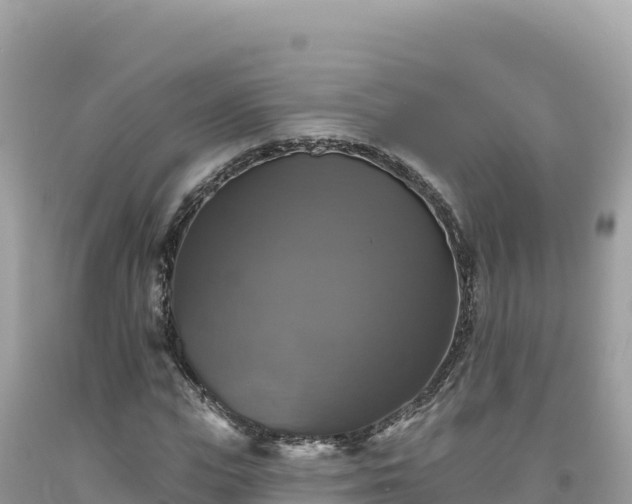 X0000093740823200710231209