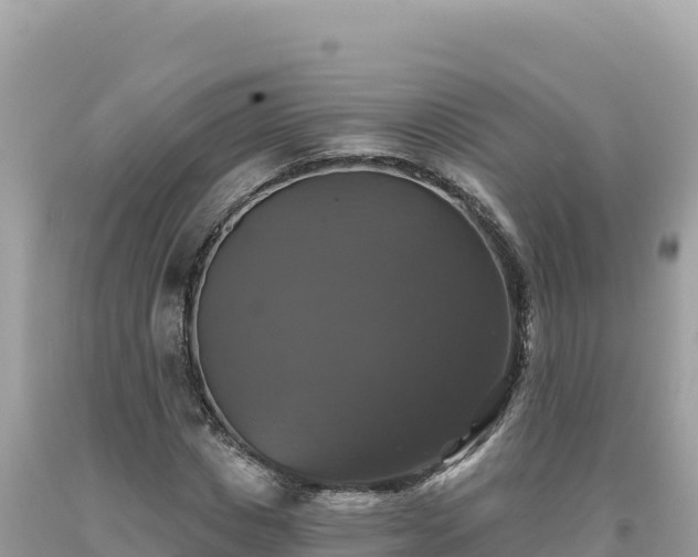 X0000093740825200710231209