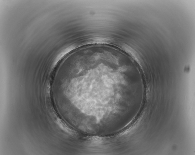 X0000093740827200710231209