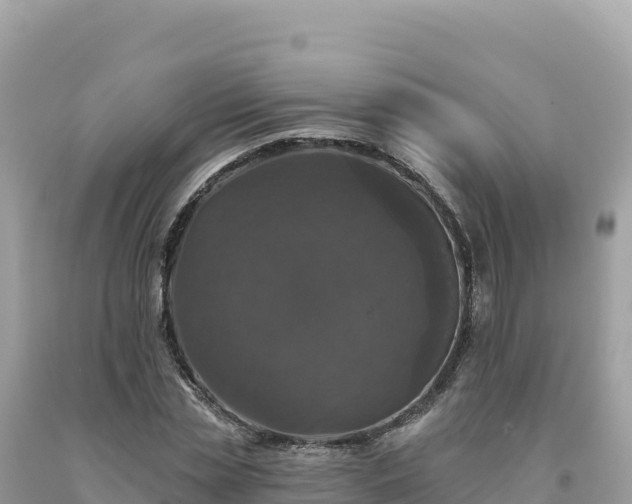 X0000093740829200710231209