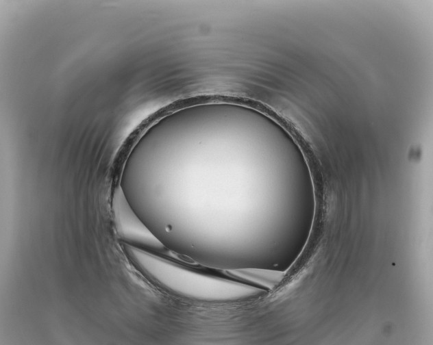 X0000093740830200710231209