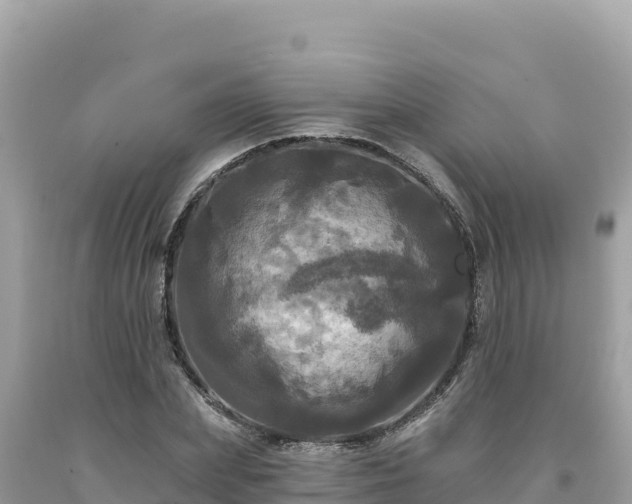 X0000093740831200710231209