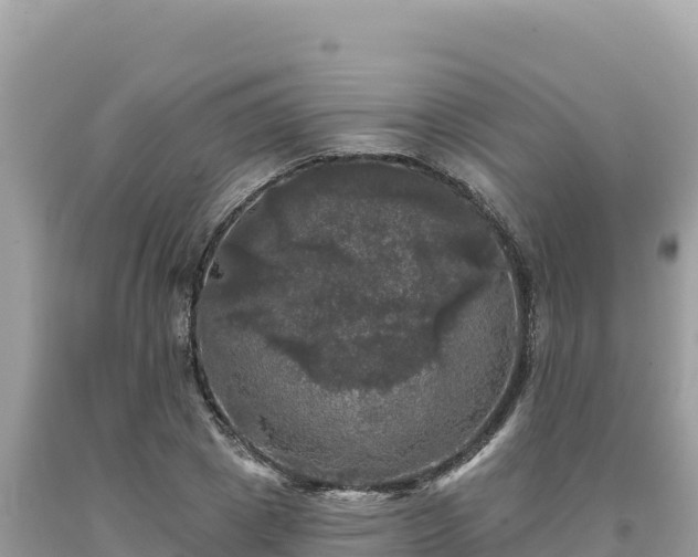 X0000093740833200710231209