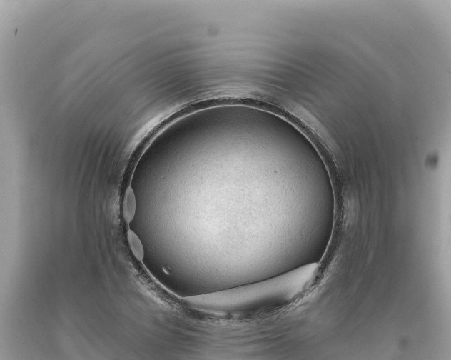 X0000093740834200710231209