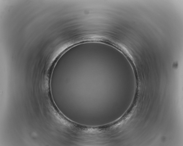 X0000093740835200710231209