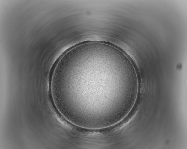 X0000093740837200710231209