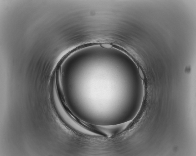 X0000093740838200710231209