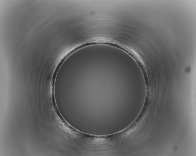 X0000093740839200710231209