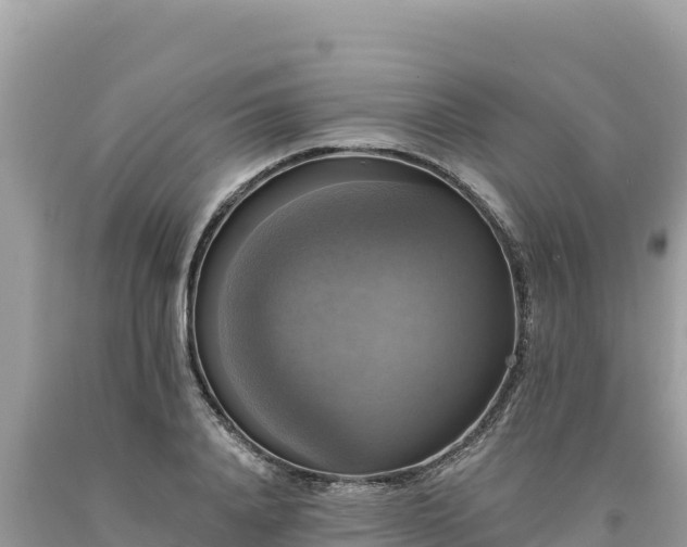 X0000093740840200710231209