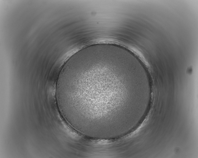 X0000093740841200710231209