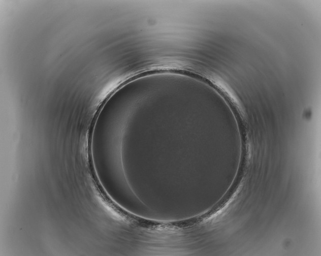 X0000093740842200710231210