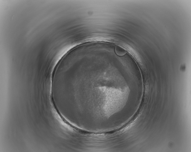X0000093740844200710231210