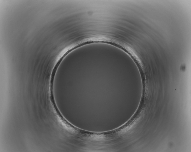 X0000093740845200710231210