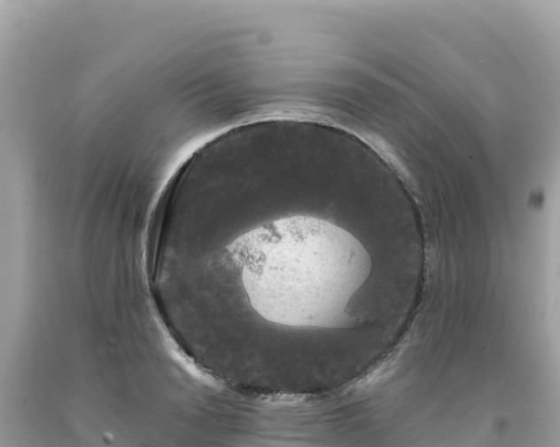 X0000093740846200710231210