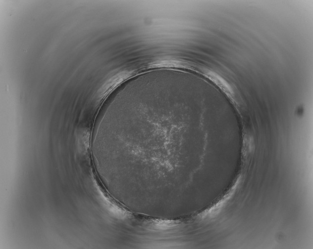 X0000093740849200710231210