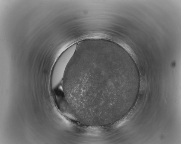 X0000093740850200710231210