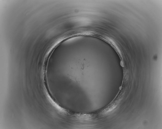X0000093740851200710231210
