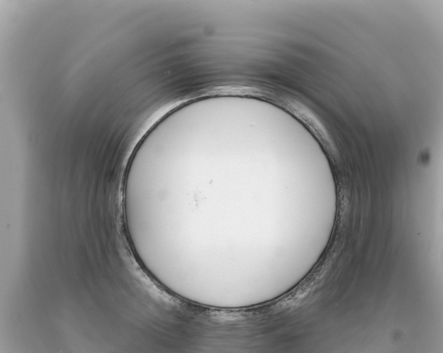 X0000093740852200710231210