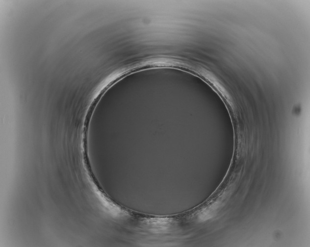 X0000093740853200710231210