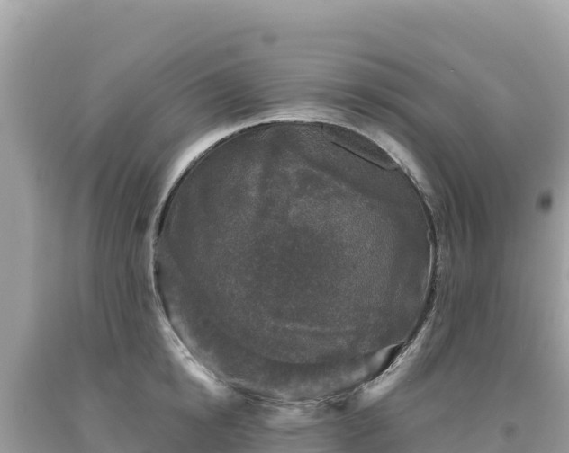 X0000093740854200710231210