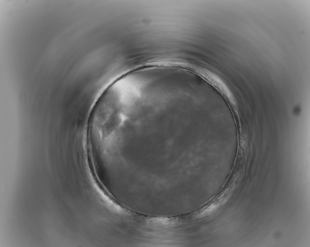 X0000093740855200710231210
