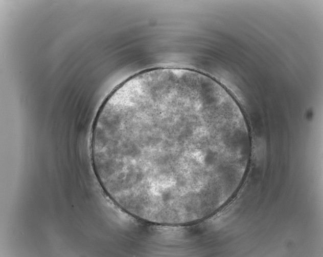X0000093740856200710231210