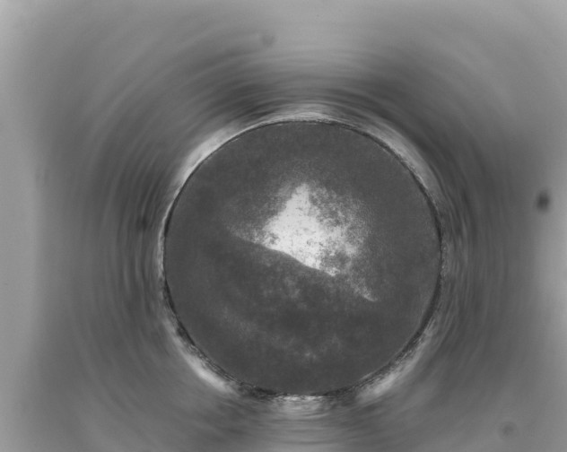 X0000093740858200710231210