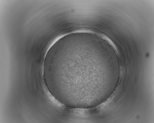 X0000093740860200710231210