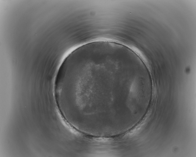 X0000093740862200710231210
