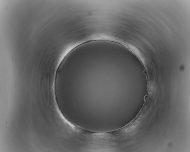 X0000093740863200710231210