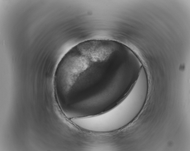 X0000093740864200710231210